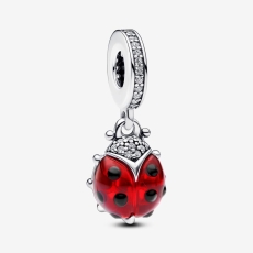 qirmizi-ladybird-sallanan-sarm