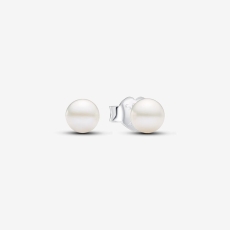 img.svg