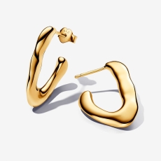 img.svg