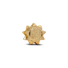 img.svg