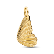 img.svg